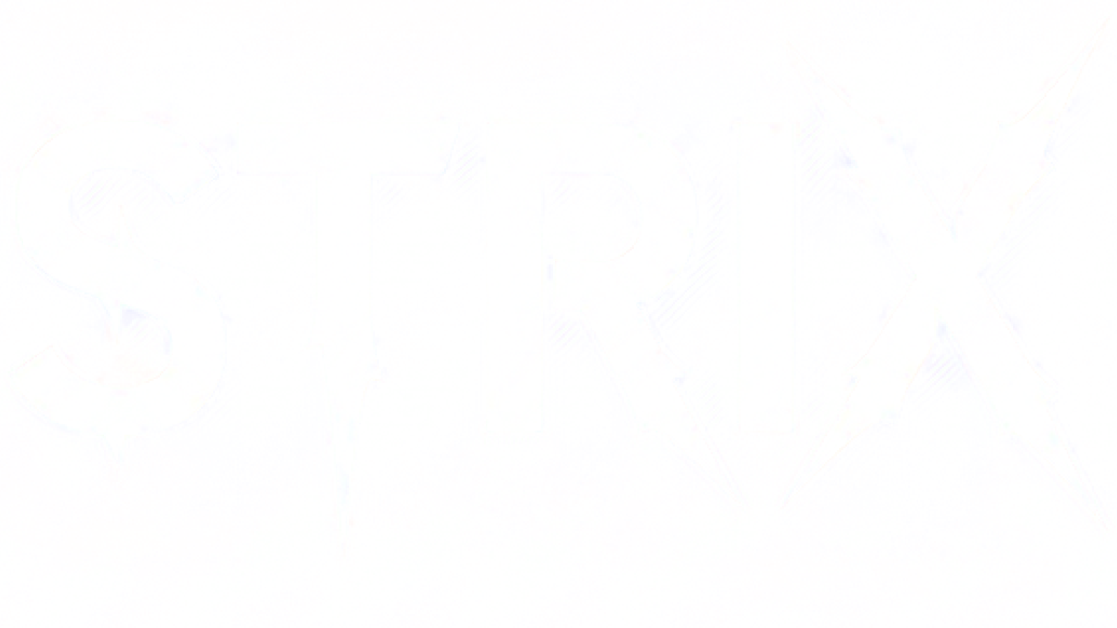 Strix Logo